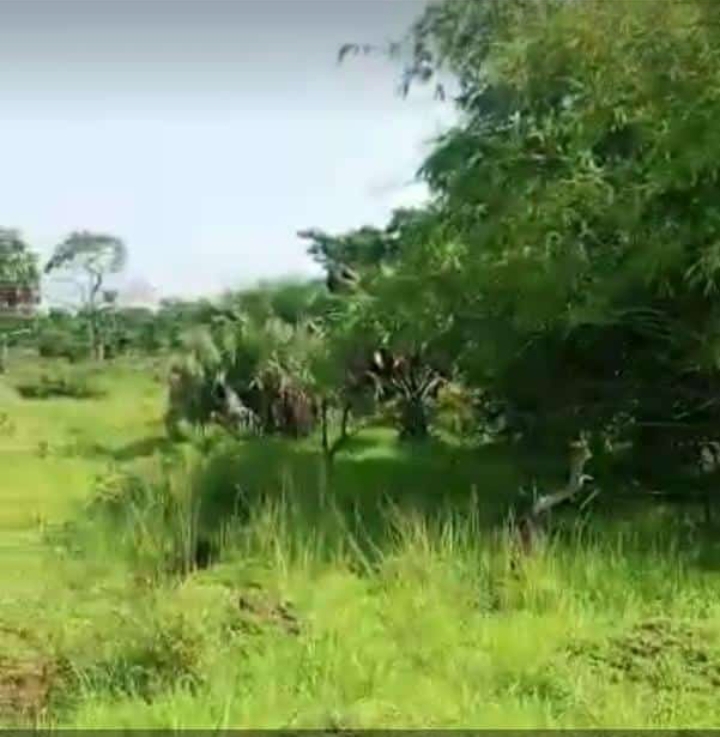 Land for sale in Isuaniocha in Awka, Anambra State.
