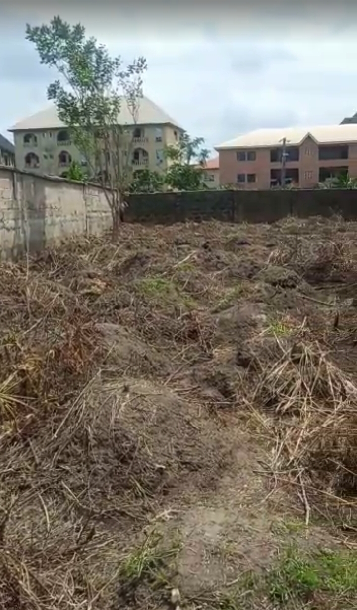Land: 2 Plots of Land for Sale at Ifite, Awka